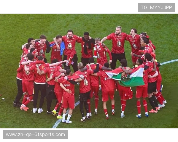 英超球队球迷数量排名